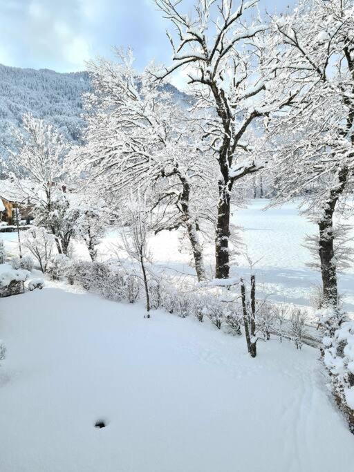 Appartement Le D12 Samoens Ngoại thất bức ảnh